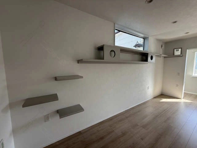 キャットステップ