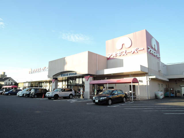 アオキスーパー