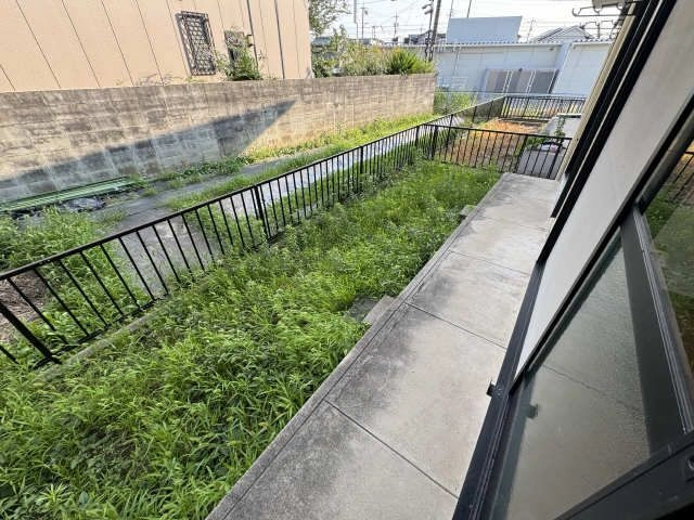 庭
