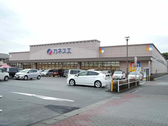 スーパーカネスエ