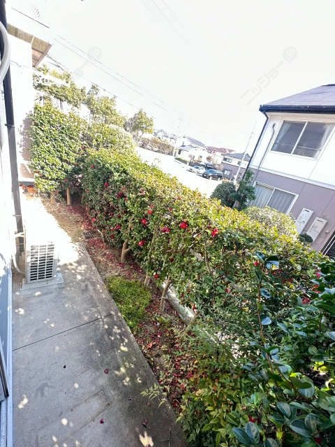 庭