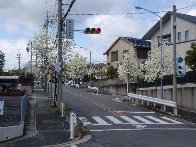 物件周辺の並木