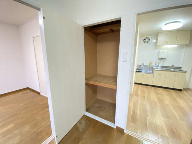 収納（南東洋室）