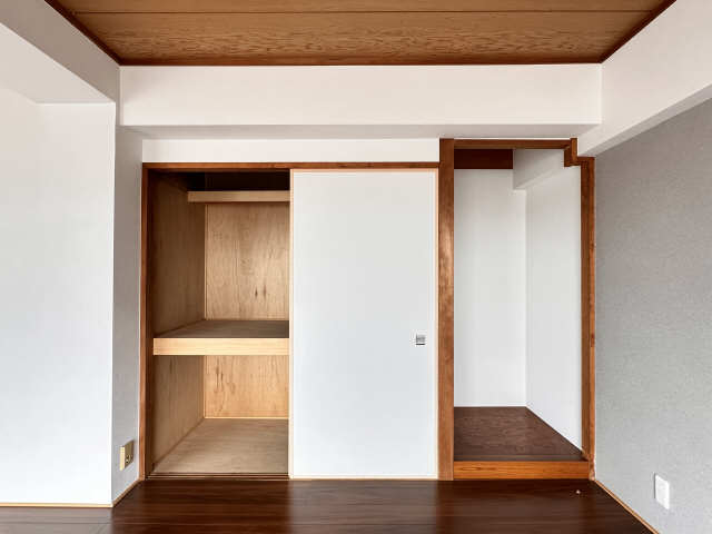 収納（南東洋室）