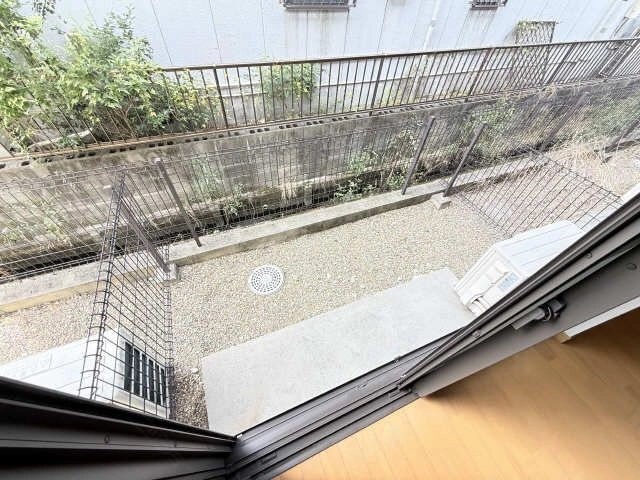 庭