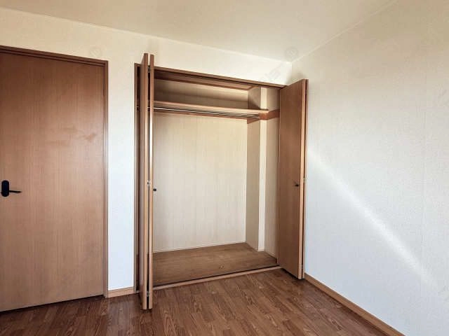 収納(南東洋室)