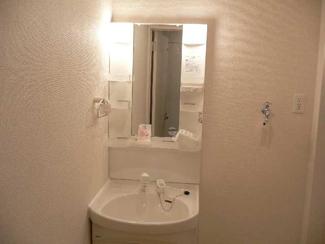 シャンプードレッサー