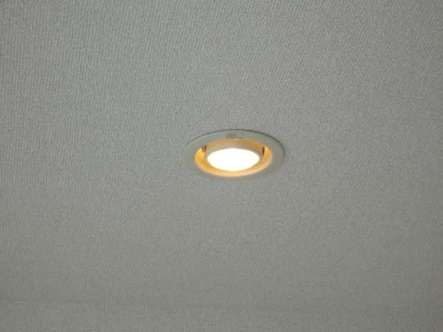 ダウンスポットライト