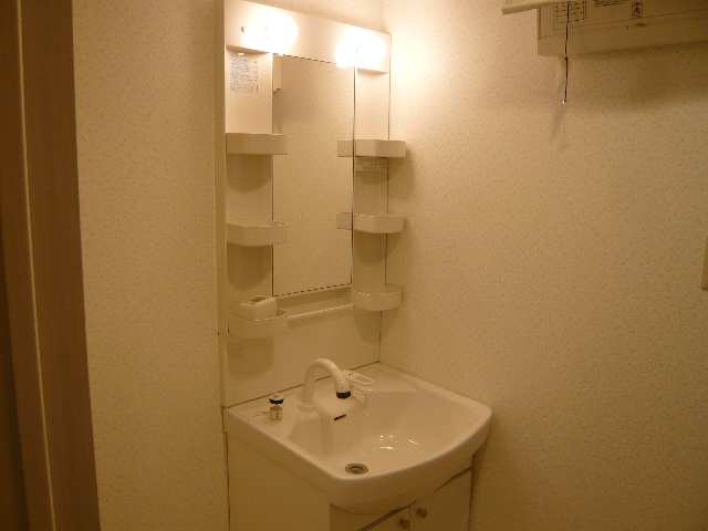 シャンプードレッサー