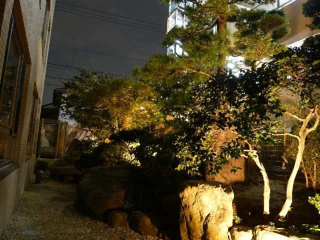 庭園（夜撮）