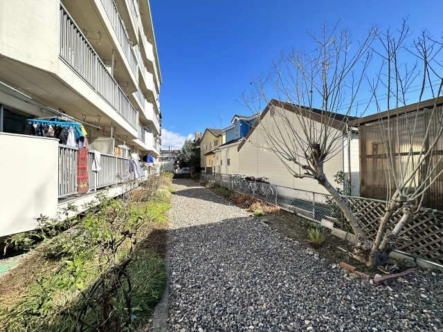 敷地内（南側）
