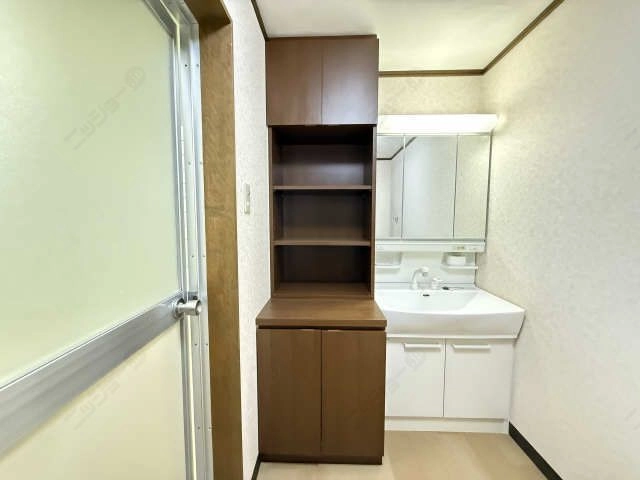 収納（洗面横収納）