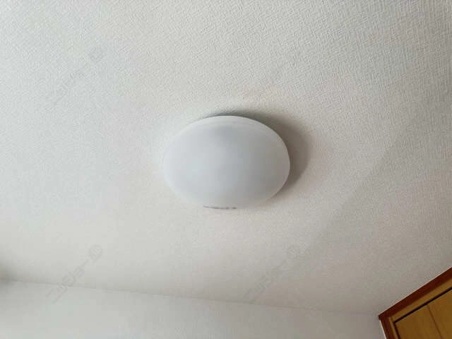 照明