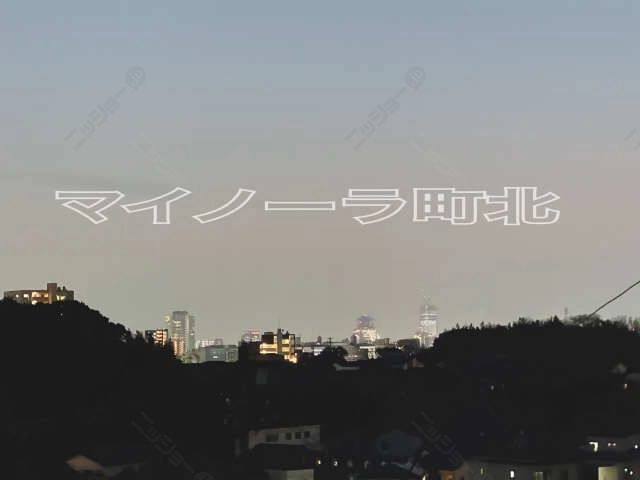 眺望夜景
