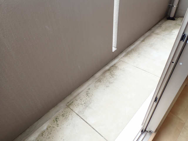 洋室バルコニー