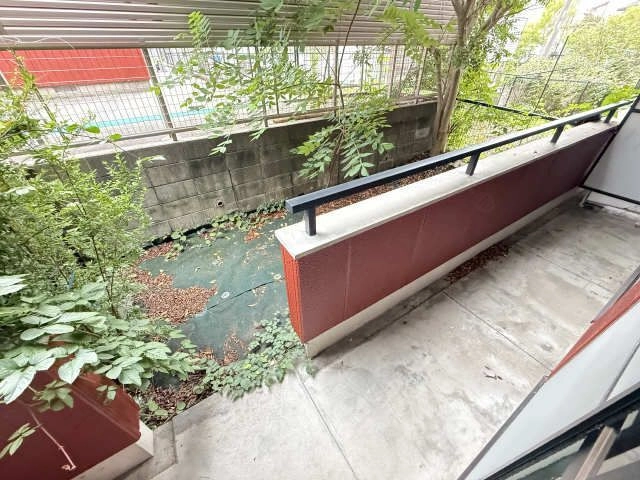 庭