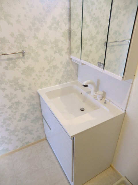 シャンプードレッサー