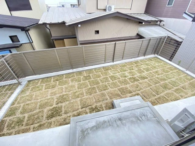 庭