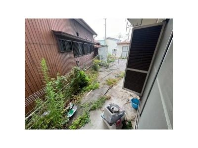 庭