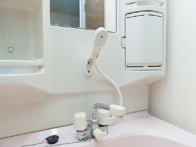 シャンプードレッサー