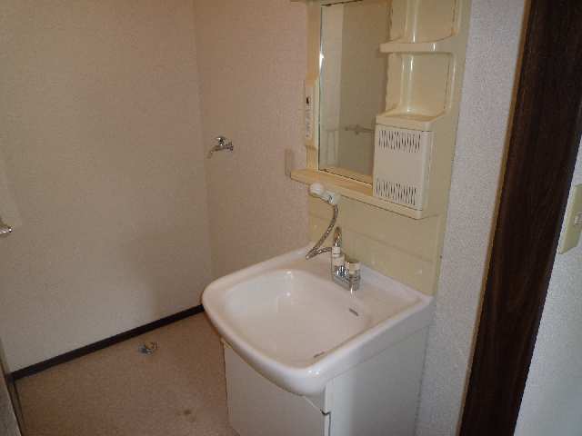 シャンプードレッサー