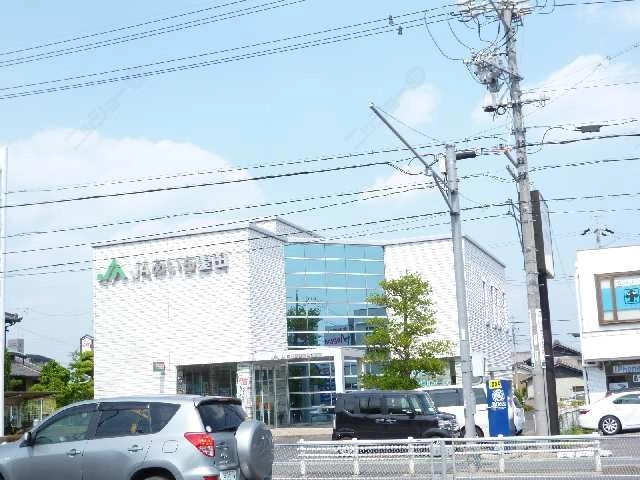 JAあいち豊田９分