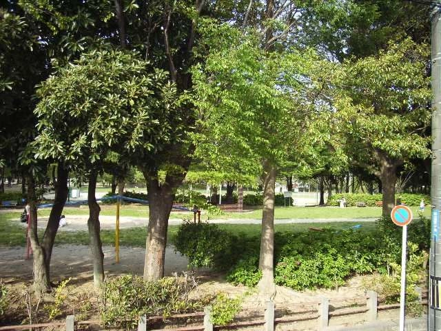 小鷹野公園