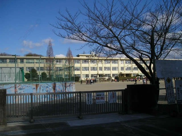 泊山小学校