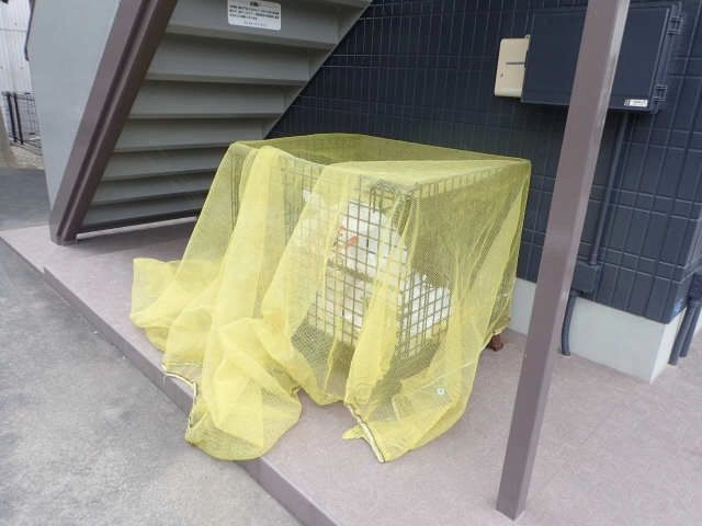 ごみ置き場