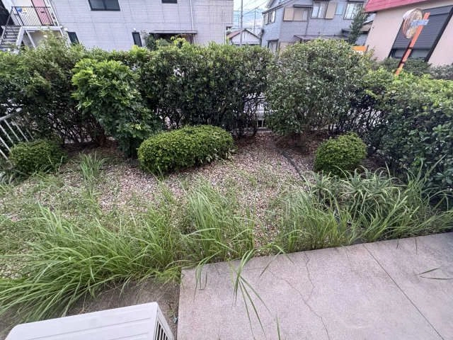 庭