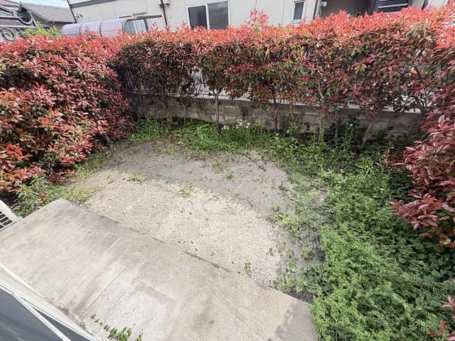 庭