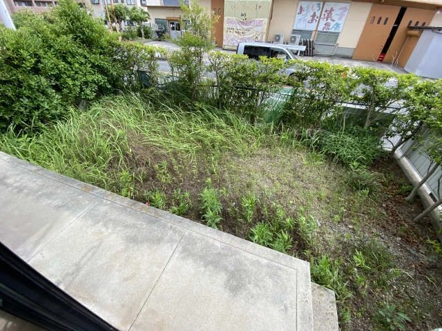 庭