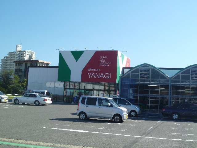 スーパーヤナギ