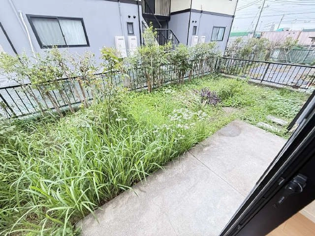 庭