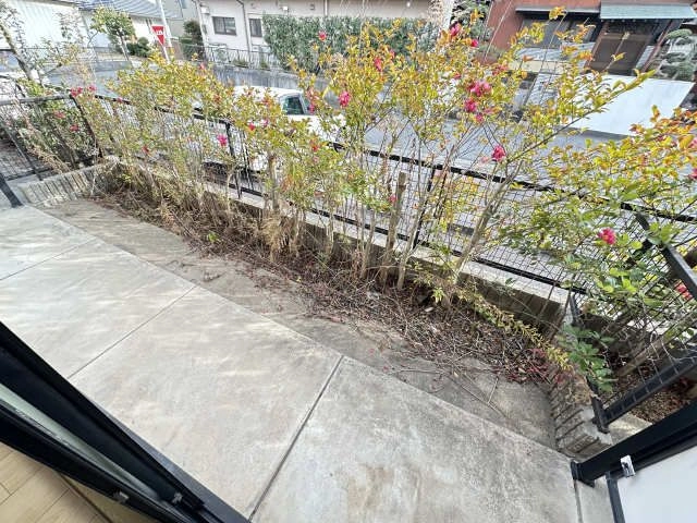 庭