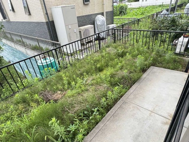 庭