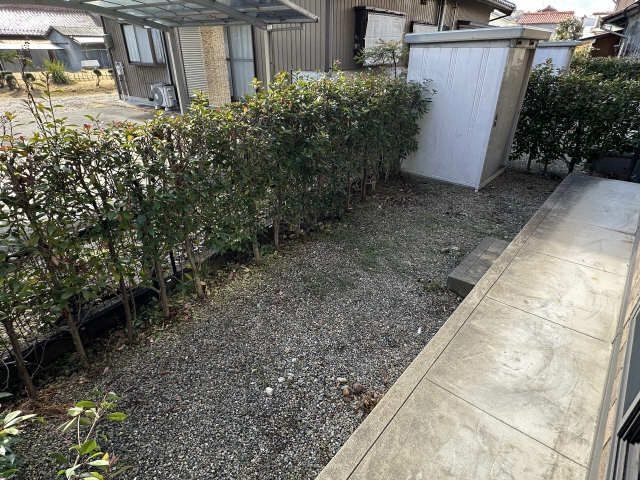 庭