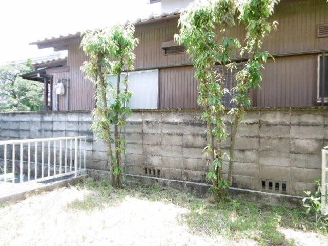 庭