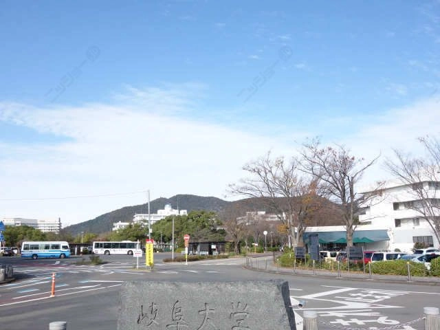 環境写真