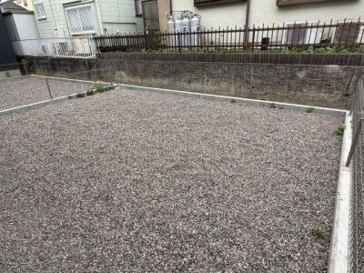 庭