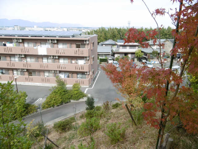 秋のひばりが丘