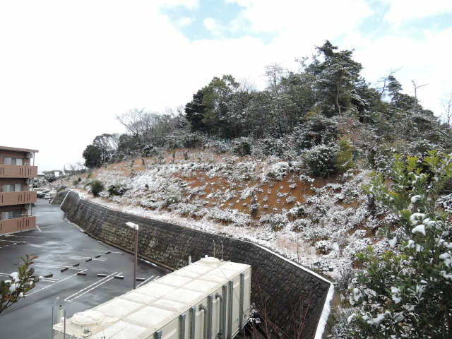 雪のセントリバーヒルズ