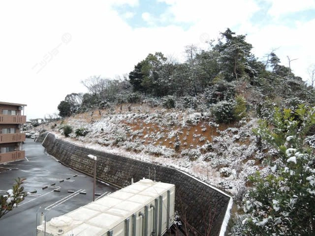 雪のセントリバーヒルズ