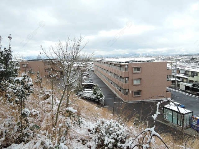 雪のセントリバーヒルズ