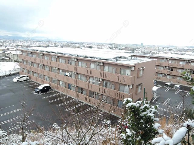 雪のセントリバーヒルズ