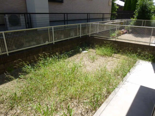 庭