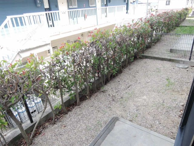 庭