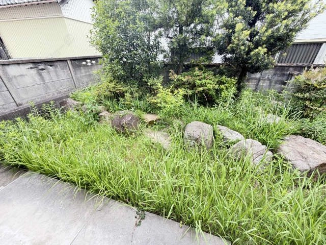 庭