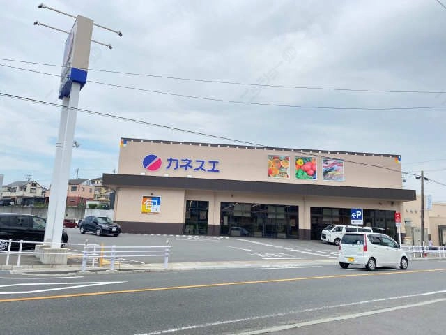 カネスエ