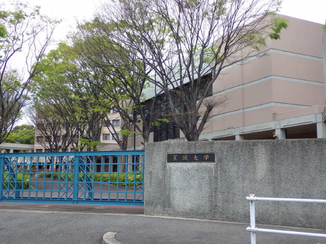 星城大学
